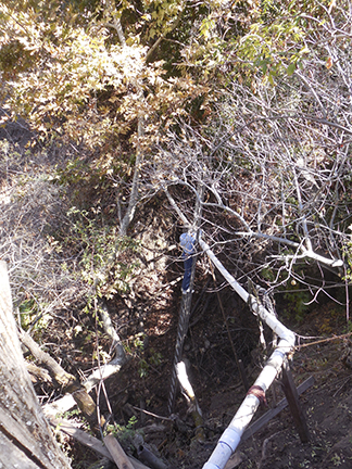 Pete in Ravine smaller